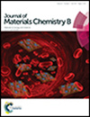 Journal of Materials Chemistry B杂志封面